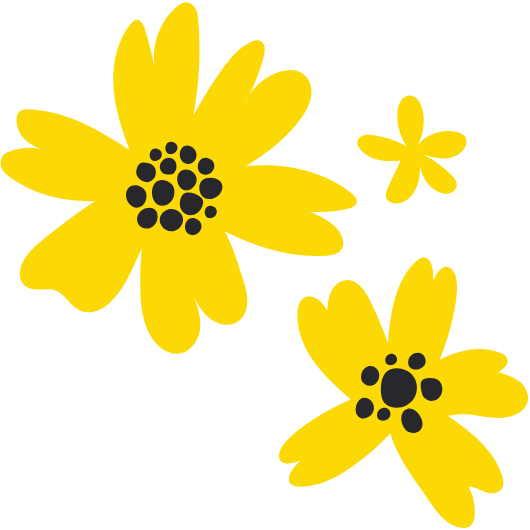 아키 노란미나리